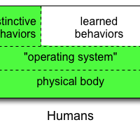 The Human Operating System
